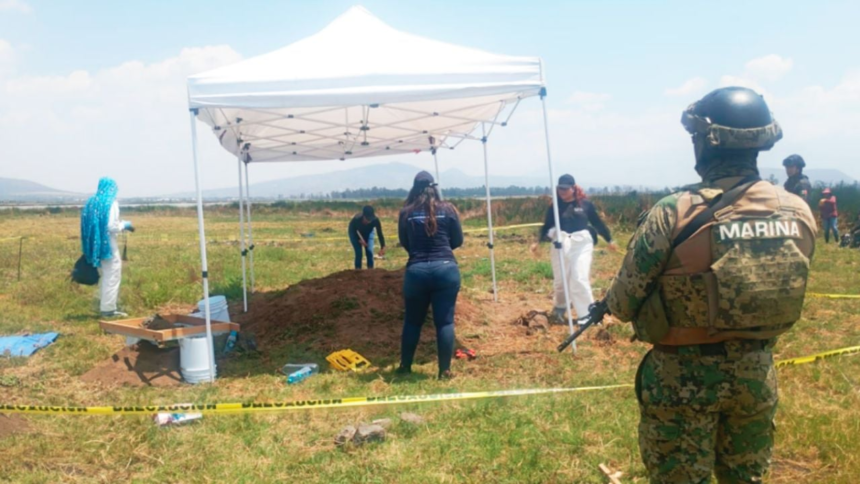 Colectivos hallan 219 restos en límites Tláhuac, CDMX, y Chalco, Edomex