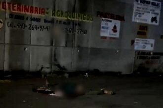 Confirman identidad de dos ejecutados hallados bajo un puente en Apatzingán, Michoacán