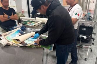 Detenido en AICM extranjero con cocaína oculta en fotografía afecta seguridad nacional