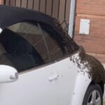 Diagnóstico técnico de la avería en Volkswagen