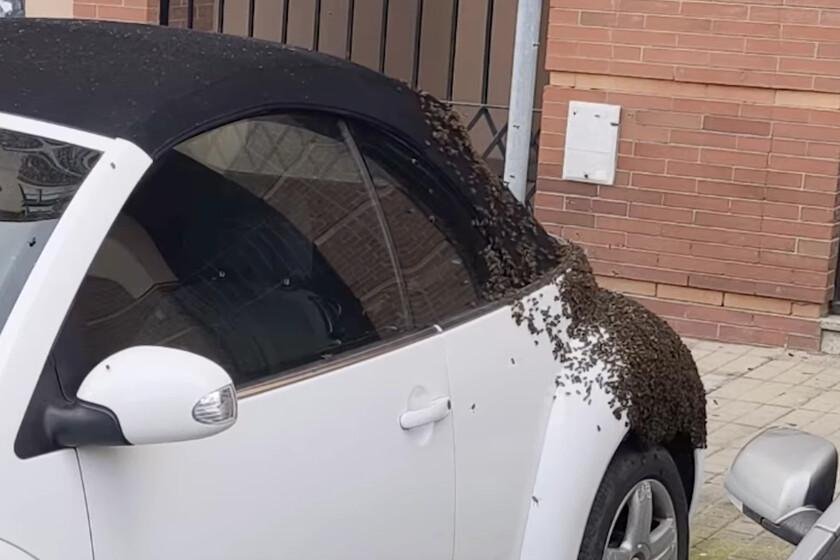 Diagnóstico técnico de la avería en Volkswagen