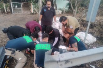 Dos jóvenes y un bebé resultan heridos en la ciudad