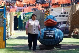 En Xochimilco, Ciudad de México, activistas usan cabello humano para limpiar canales