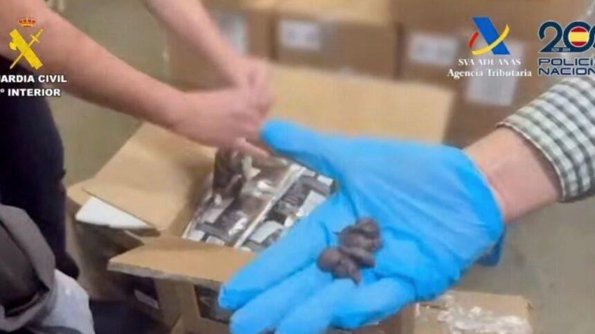 España confisca 62 kilos de cocaína en cargamento de chocolates internacionales
