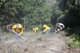 Fortalecen la prevención de incendios forestales en el estado.