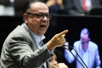 Germán Martínez califica de oscuro el día tras aprobación de terna en Diputados