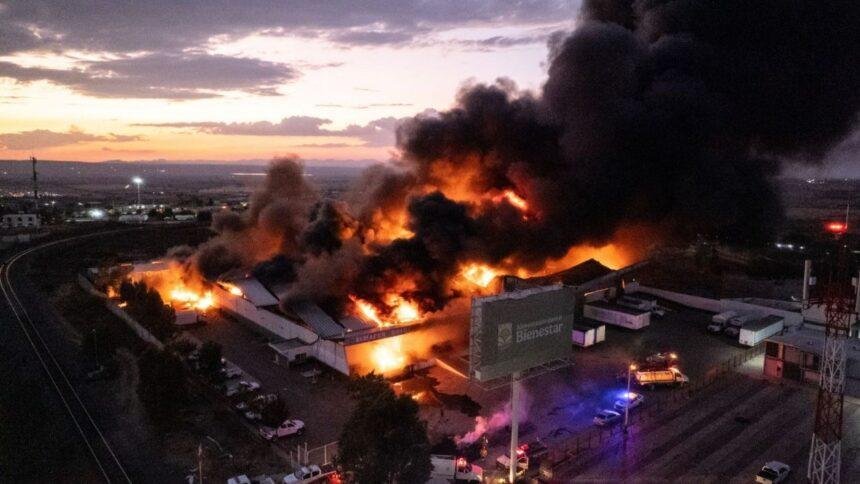 Gobierno federal responsabiliza a productores de frijol por incendio en Segalmex