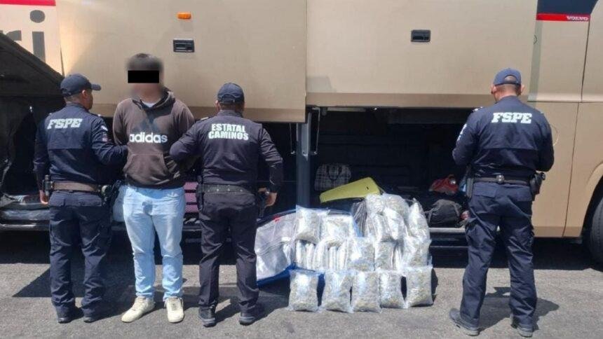 Guanajuato: Incautan más de 23 mil dosis en dos maletas en autobús