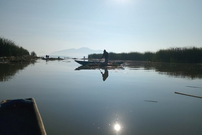 Lago de Pátzcuaro recupera su vitalidad con el hallazgo de manantiales.