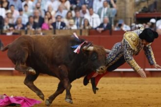 Morante de la Puebla sufre cornada: pronóstico grave tras la herida