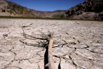 ONU implementa plan de emergencia en Honduras para proteger a 65 mil afectados por sequía.