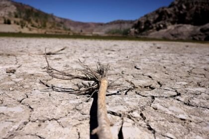 ONU implementa plan de emergencia en Honduras para proteger a 65 mil afectados por sequía.