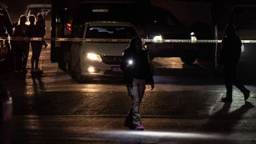 Procesan a dos por feminicidio de defensora de animales Diana Belén, Edomex