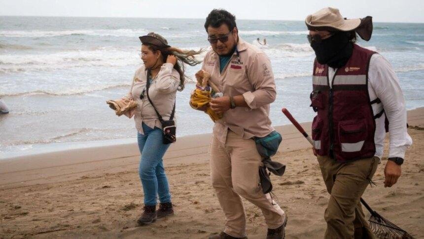 Veracruz crea Observatorio Permanente por derrame en el Golfo