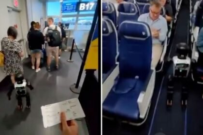 Aerolínea prohíbe robots pasajeros tras incidente viral en un vuelo