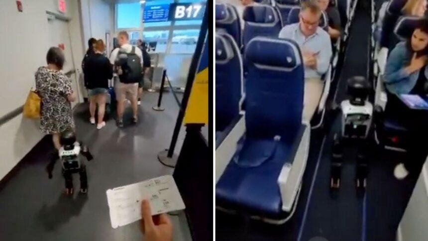 Aerolínea prohíbe robots pasajeros tras incidente viral en un vuelo