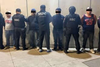 Aprehenden a cuatro individuos en la CDMX con una tonelada de marihuana