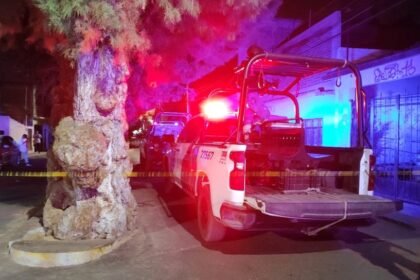 Asesinan a menor de edad en colonia Los Presidentes, Irapuato