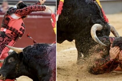 Banderillero herido por cornada en la Feria de Madrid