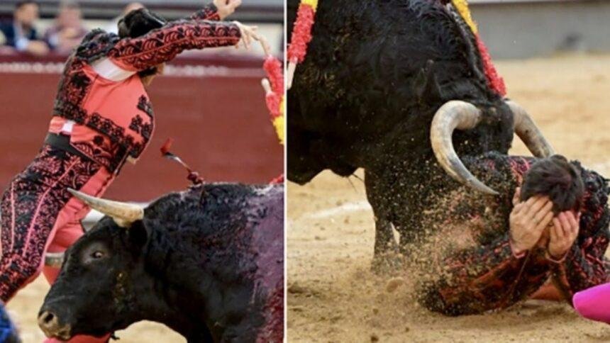 Banderillero herido por cornada en la Feria de Madrid