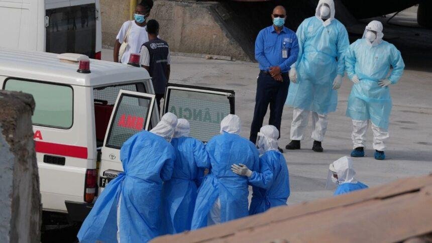 Brote de hantavirus obliga a países a preparar recepción de pasajeros de crucero