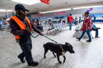 Capturan a hombre con más de 33 kilos de droga en la TAPO