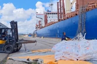 China envía 15 mil toneladas de arroz a Cuba ante crisis alimentaria global