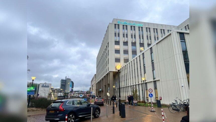 Cuarentena de 12 trabajadores en Países Bajos por brote de hantavirus