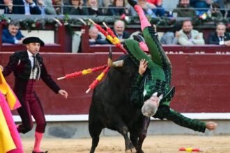 Curro Javier recibe grave cornada en la espalda durante la corrida