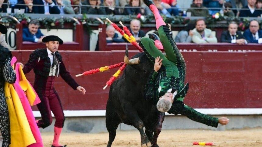 Curro Javier recibe grave cornada en la espalda durante la corrida