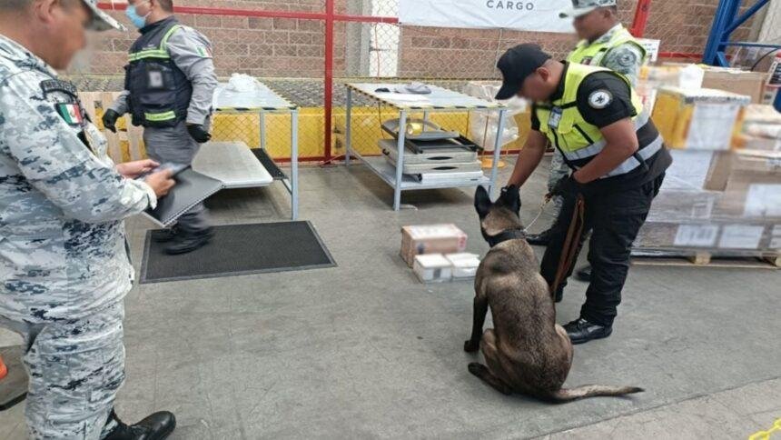 Decomisan 4.5 kilos de drogas ocultas en AIFA con destino a Australia