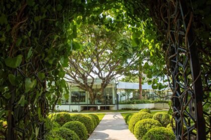 Descubre 5 terrazas en Guadalajara: vistas cautivadoras y gastronomía sorprendente