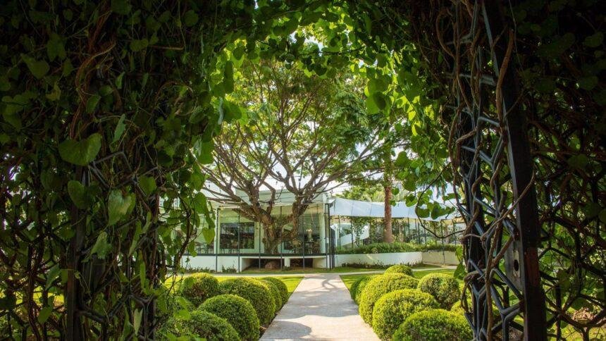 descubre 5 terrazas en guadalajara vistas cautivadoras y gastronomia sorprendente Descubre 5 terrazas en Guadalajara: vistas cautivadoras y gastronomía sorprendente
