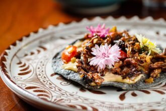 Descubre el Mundo de los Insectos: Una Guía Sorpresiva para tu Dieta