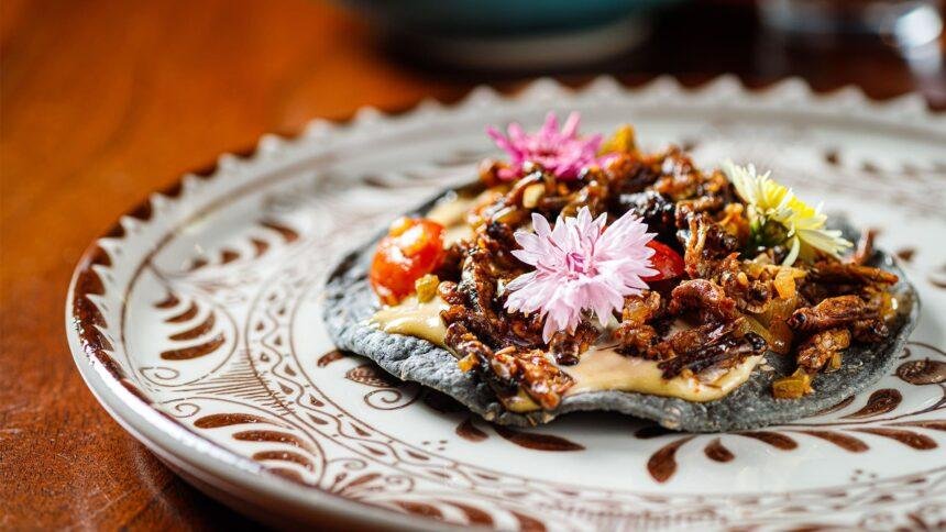 Descubre el Mundo de los Insectos: Una Guía Sorpresiva para tu Dieta