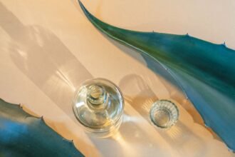 Descubre la Fascinante Historia y Evolución del Mezcal