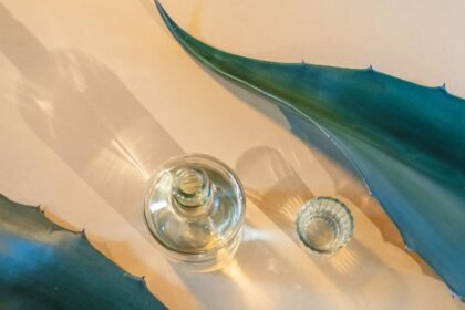 Descubre la Fascinante Historia y Evolución del Mezcal