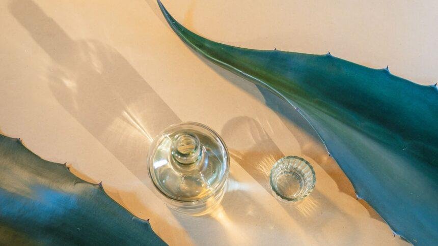 Descubre la Fascinante Historia y Evolución del Mezcal