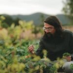 Descubre Olivea: El Sabor Auténtico de Ensenada en Cada Plato