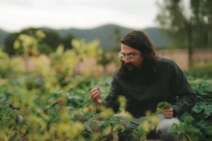 Descubre Olivea: El Sabor Auténtico de Ensenada en Cada Plato