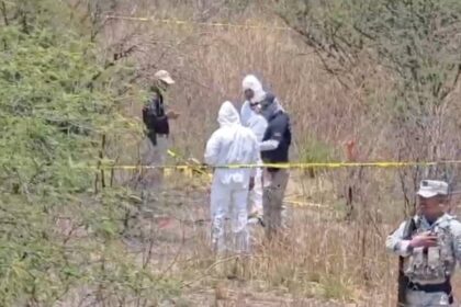 descubren siete cuerpos en fosa clandestina en villagran guanajuato Descubren siete cuerpos en fosa clandestina en Villagrán, Guanajuato.