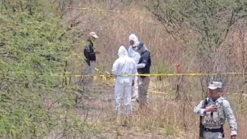 Descubren siete cuerpos en fosa clandestina en Villagrán, Guanajuato.