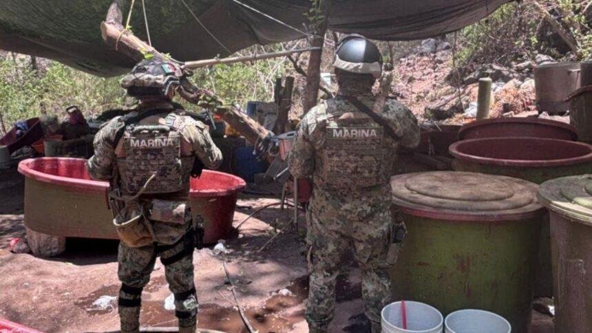 Desmantelan laboratorios clandestinos y confiscan precursores en tres estados del país.