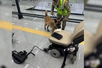 Detenido en AICM individuo con nueve kilos de cocaína en silla de ruedas