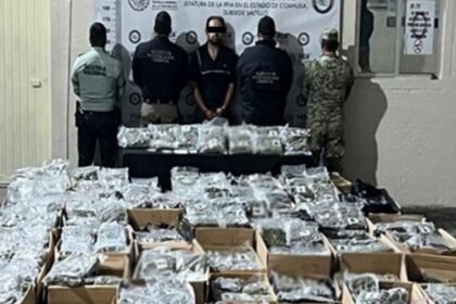 Detienen en Coahuila a traficante con 750 kilos de marihuana en camión