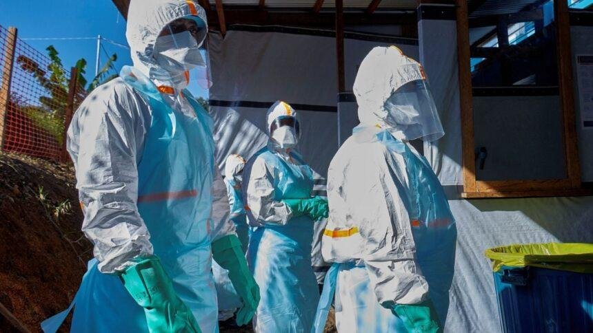 ebola en el congo la oms reporta recuperacion de cinco Ébola en el Congo: la OMS reporta recuperación de cinco pacientes