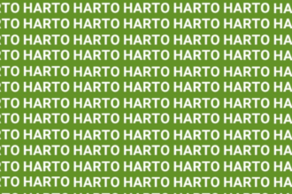 Encuentra la palabra 'HURTO' en solo 5 segundos con esta vista águila