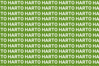 Encuentra la palabra 'HURTO' en solo 5 segundos con esta vista águila
