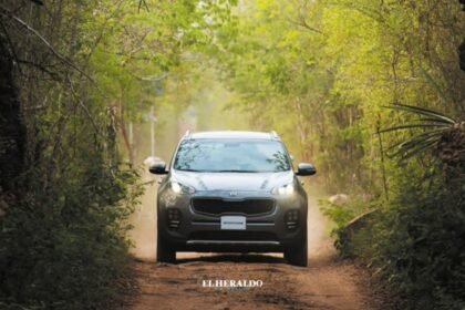 Escapada H: Todo sobre el nuevo suplemento esencial