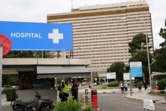España reporta posible caso de hantavirus tras contacto aéreo en Alicante